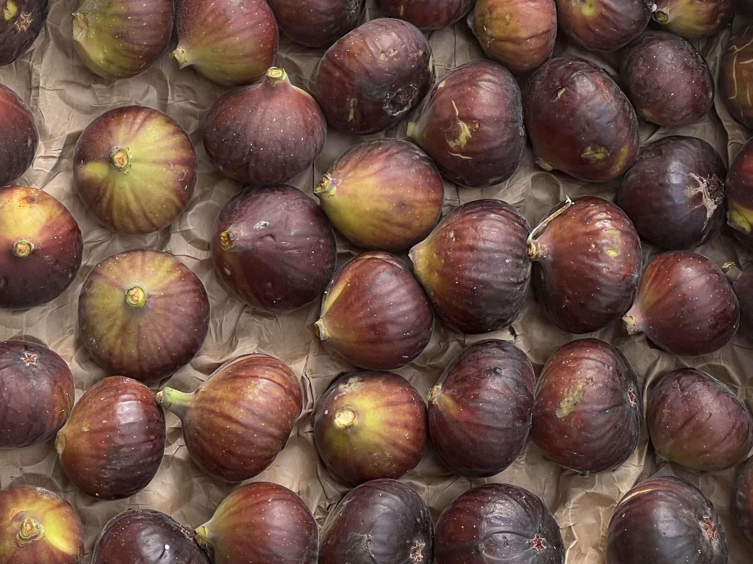 Organic Fig Black (250g)