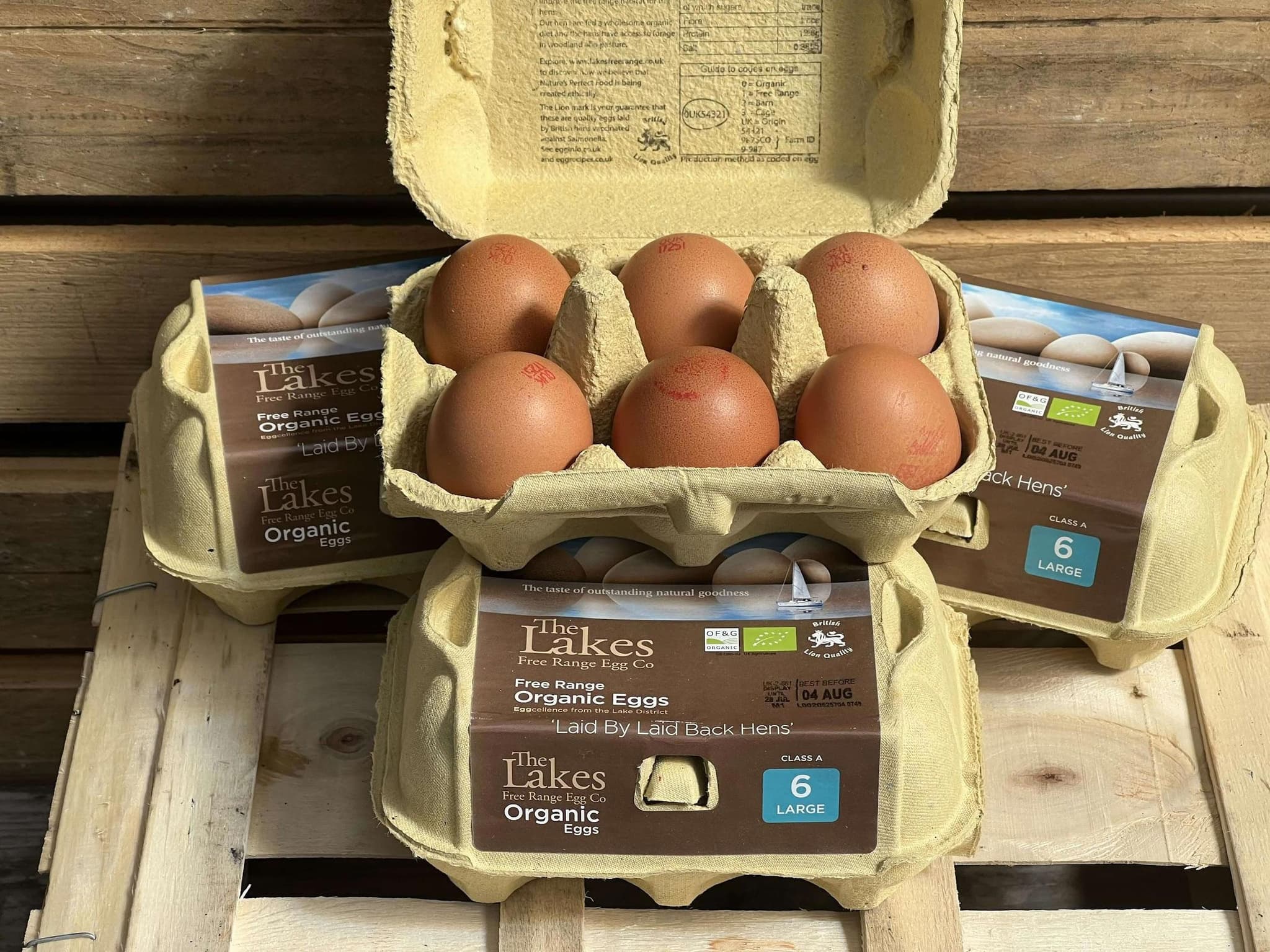 LARGE EGGS