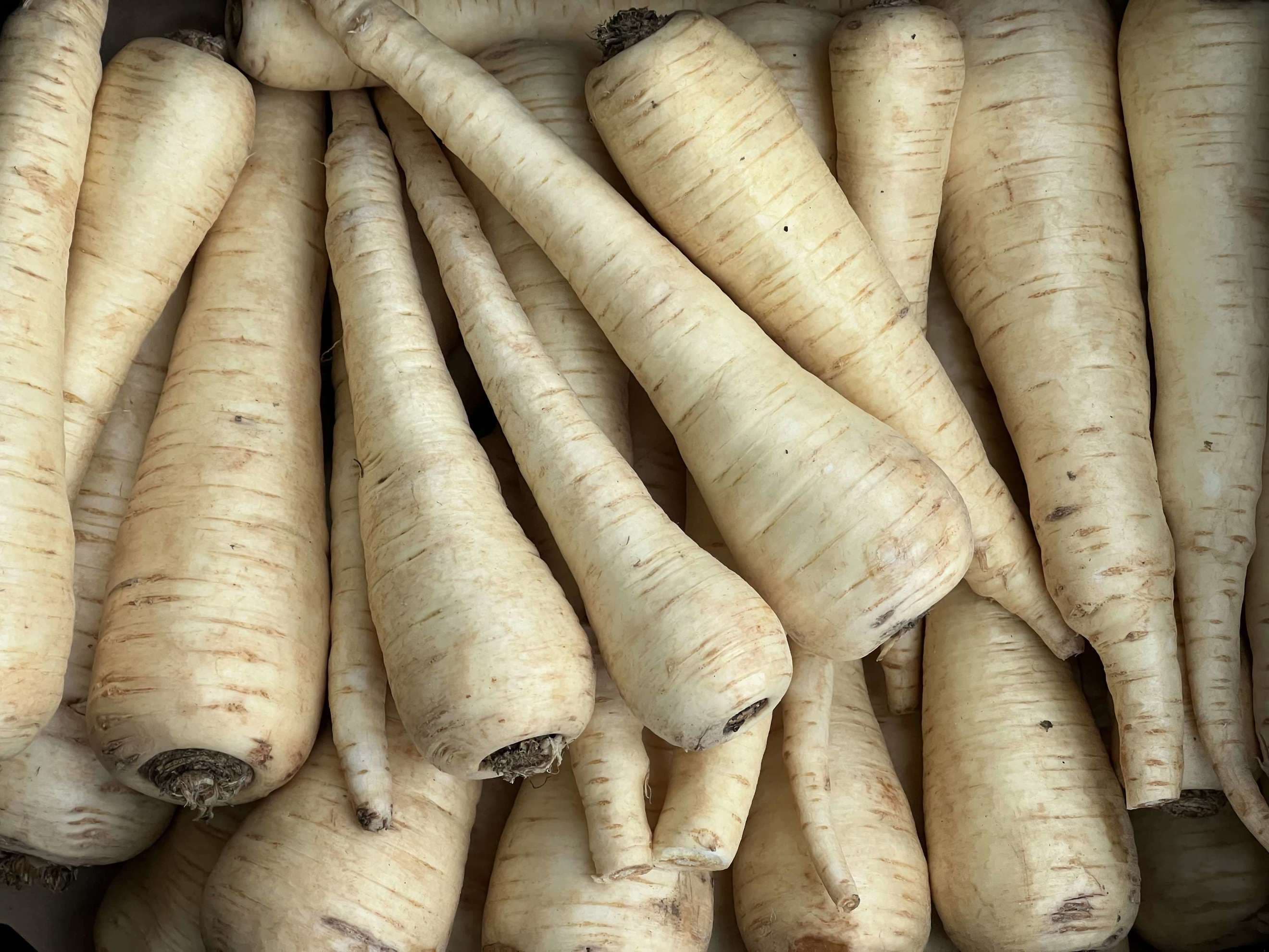 Organic Parsnips (600g)
