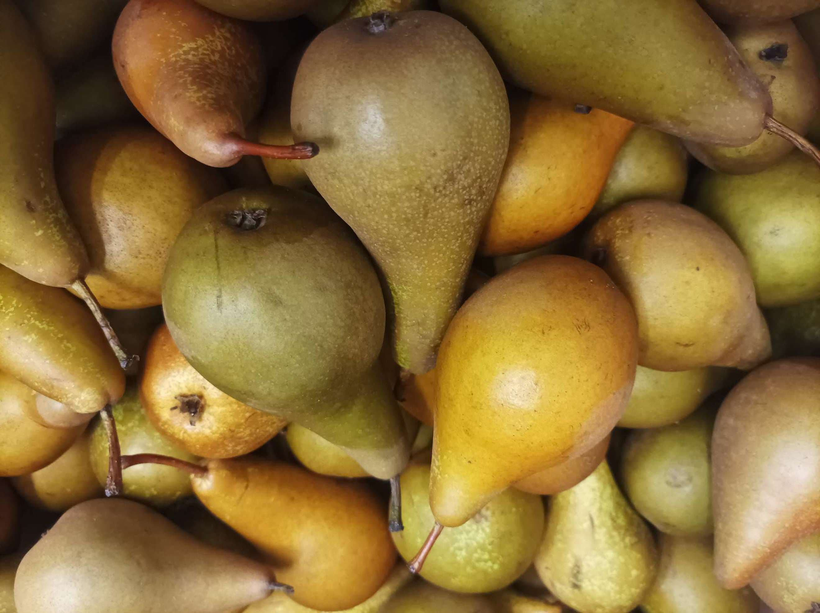 Organic Pears (1kg)