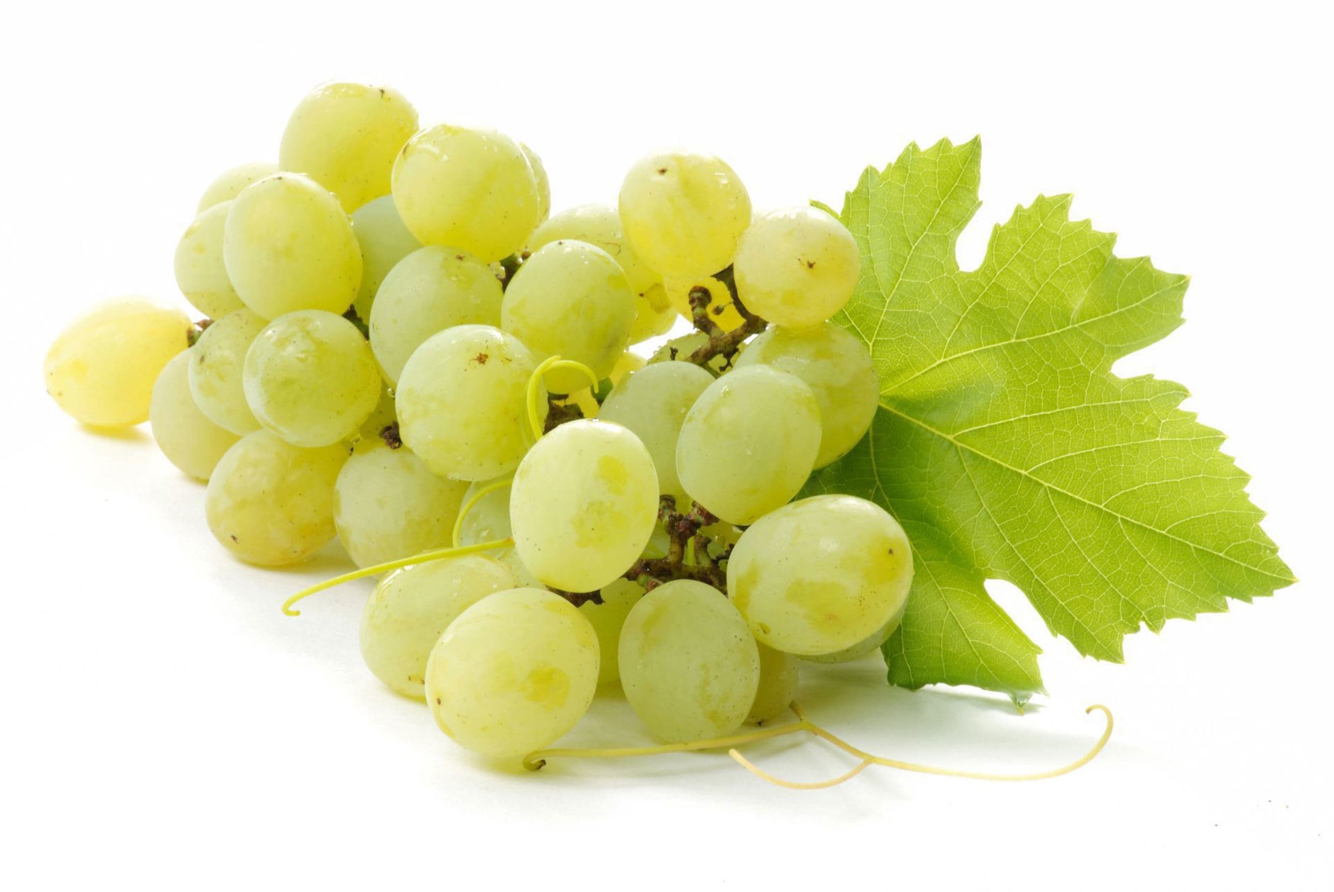 Organic Grapes White (500g)