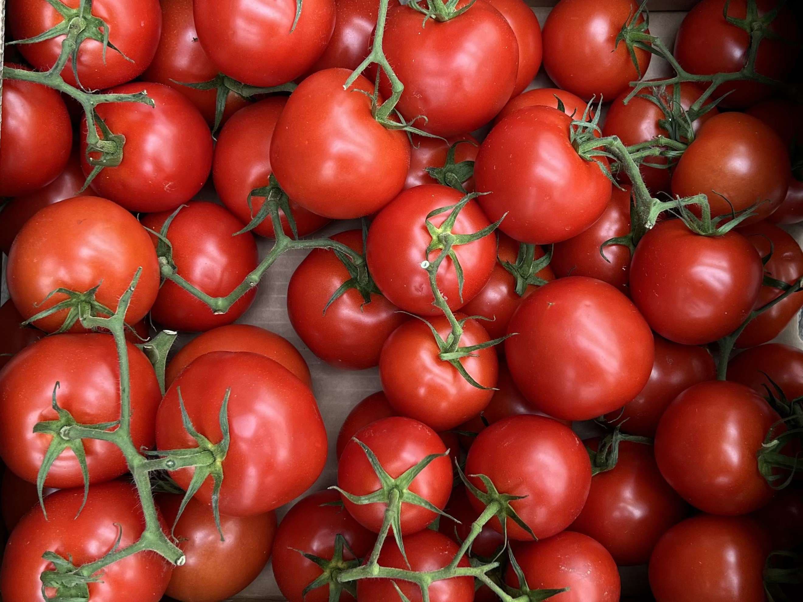 Organic Classic Vine Tomatoes (500g)