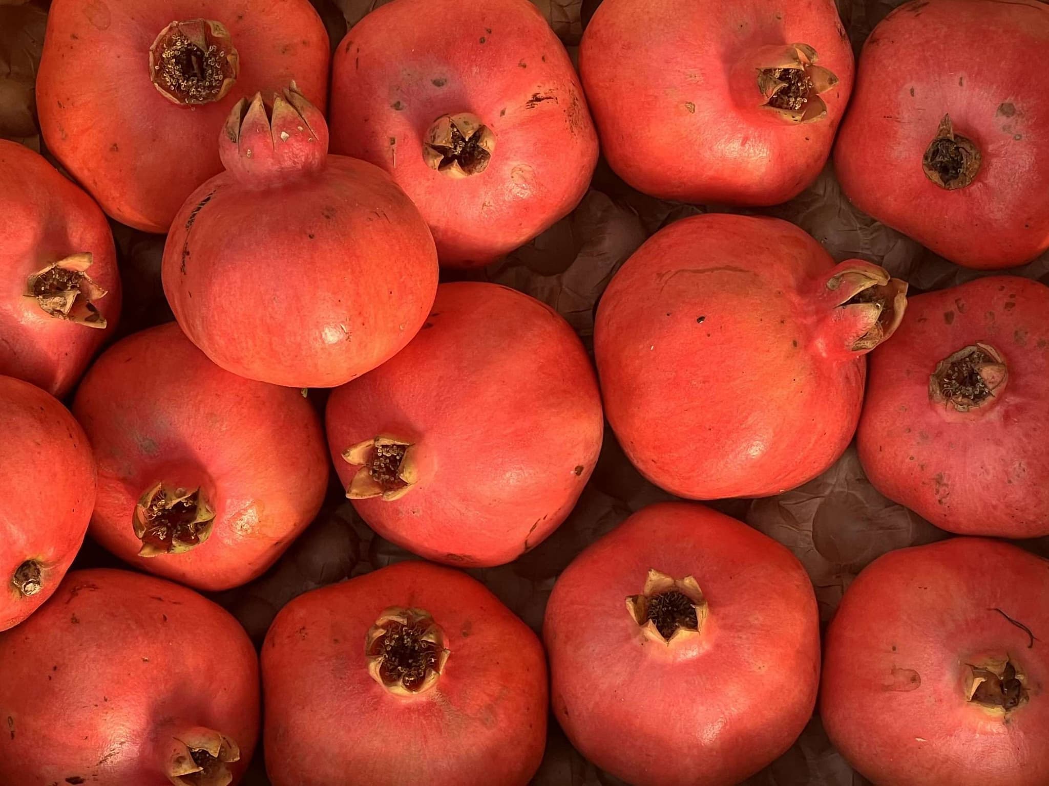 Organic Pomegranate (600G)