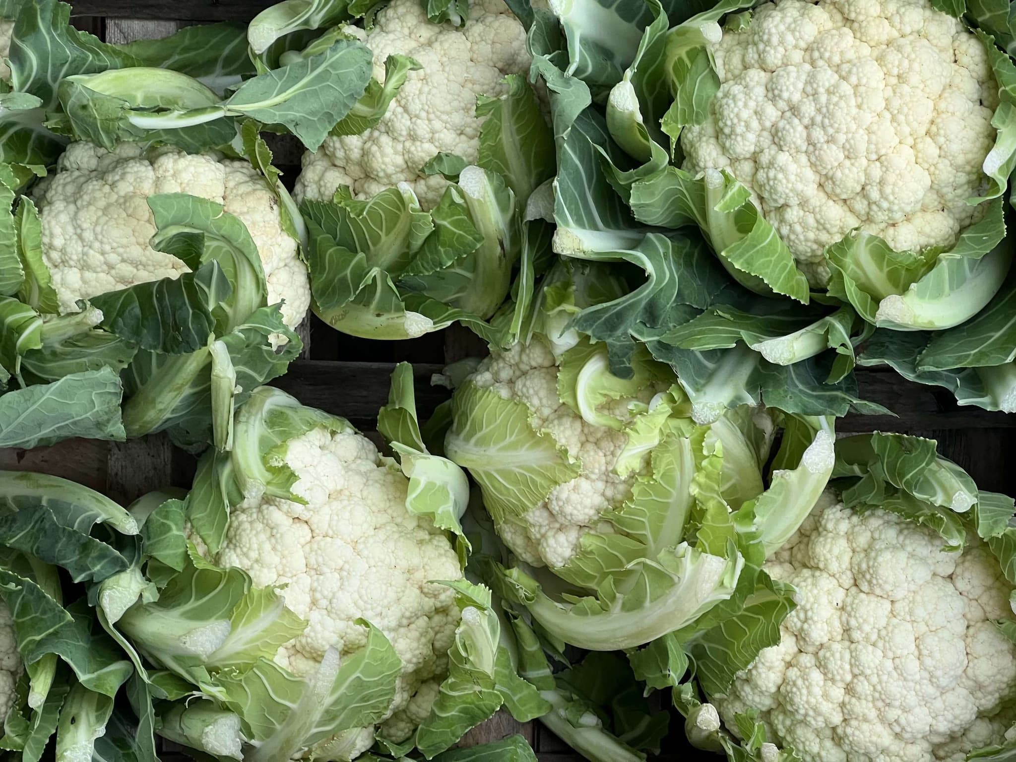 Organic Cauliflower