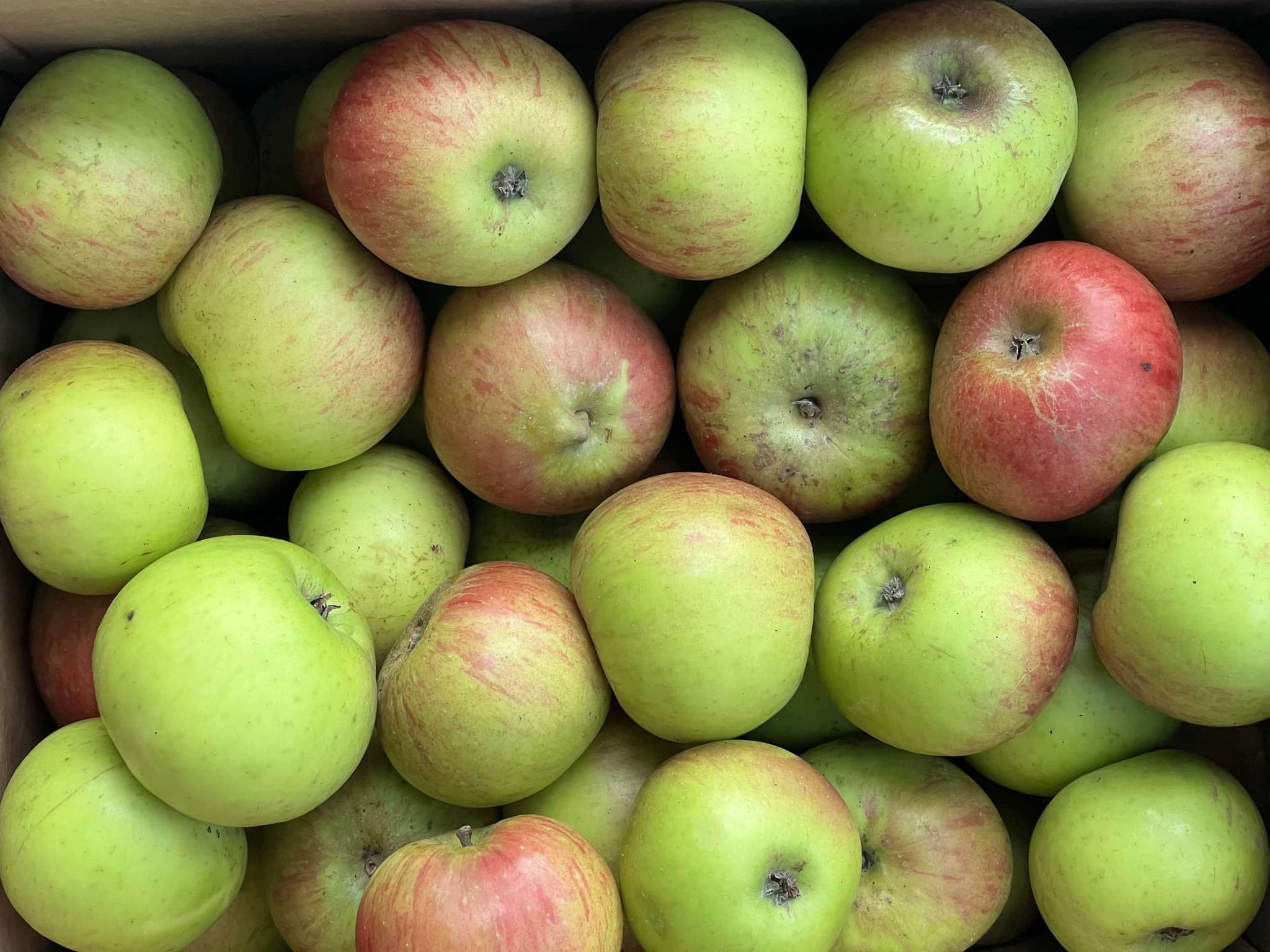 Organic Bramley Apples (1kg)