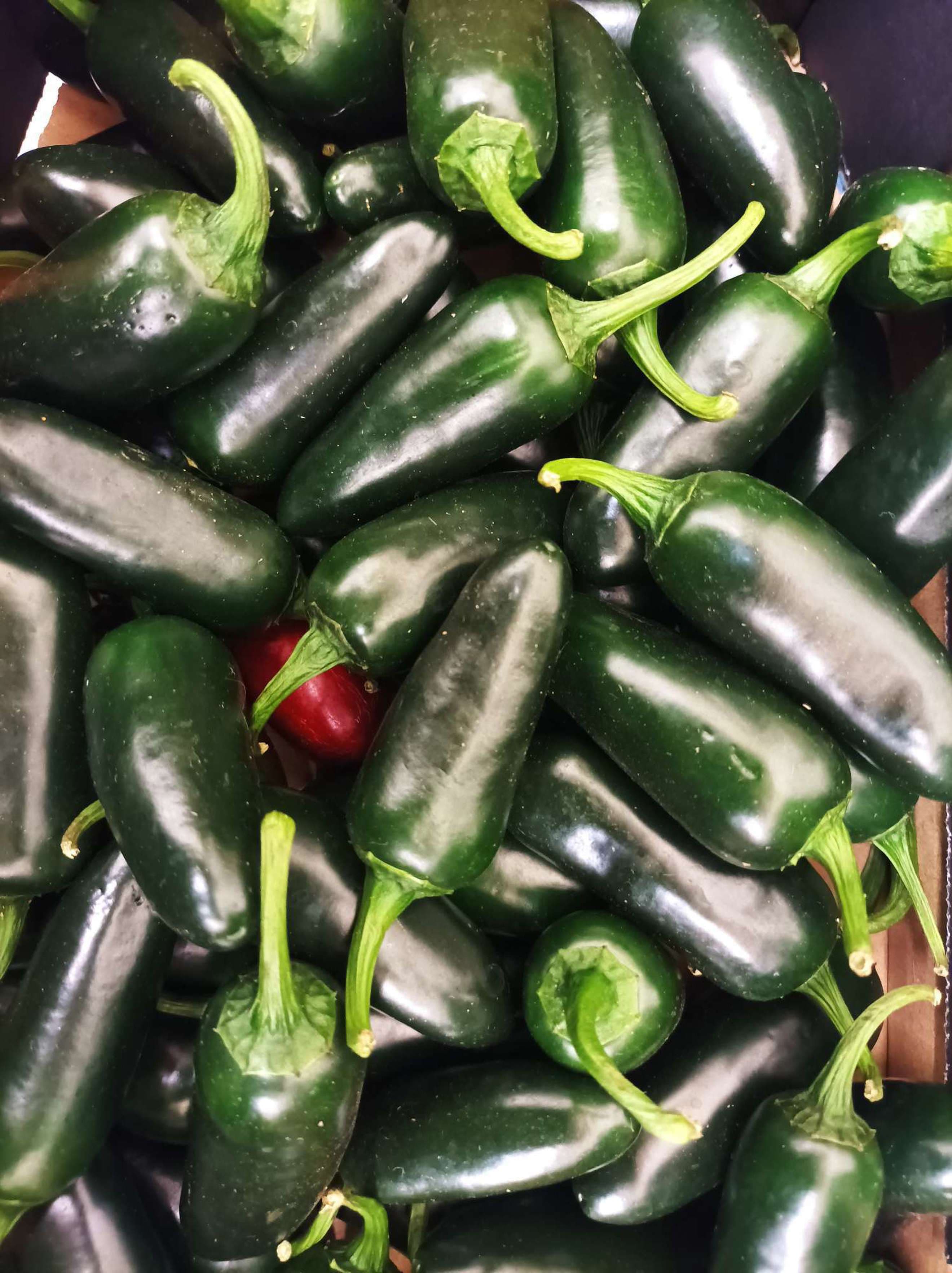 Organic Chillies Jalapeno (100g)