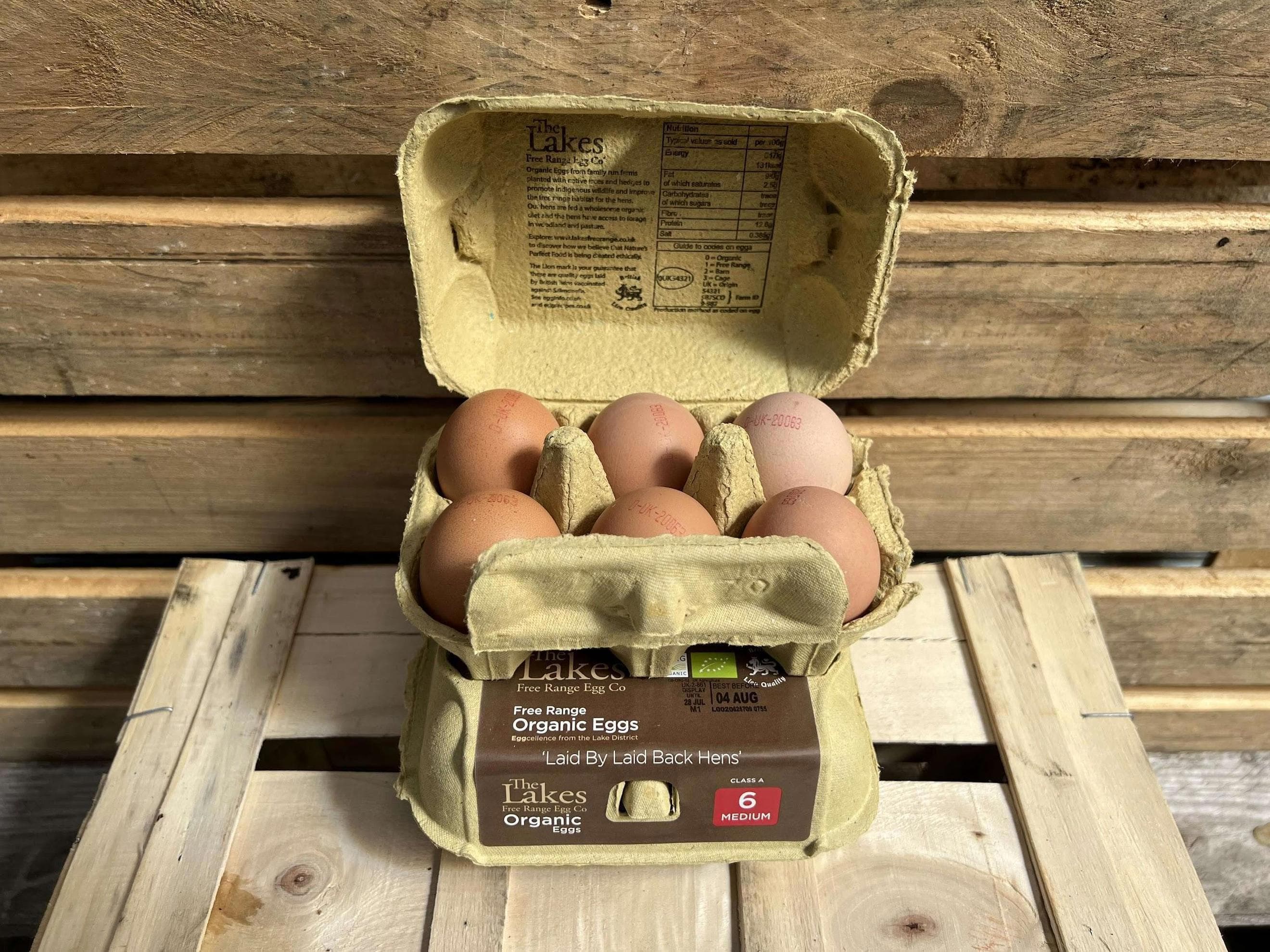 MEDIUM EGGS