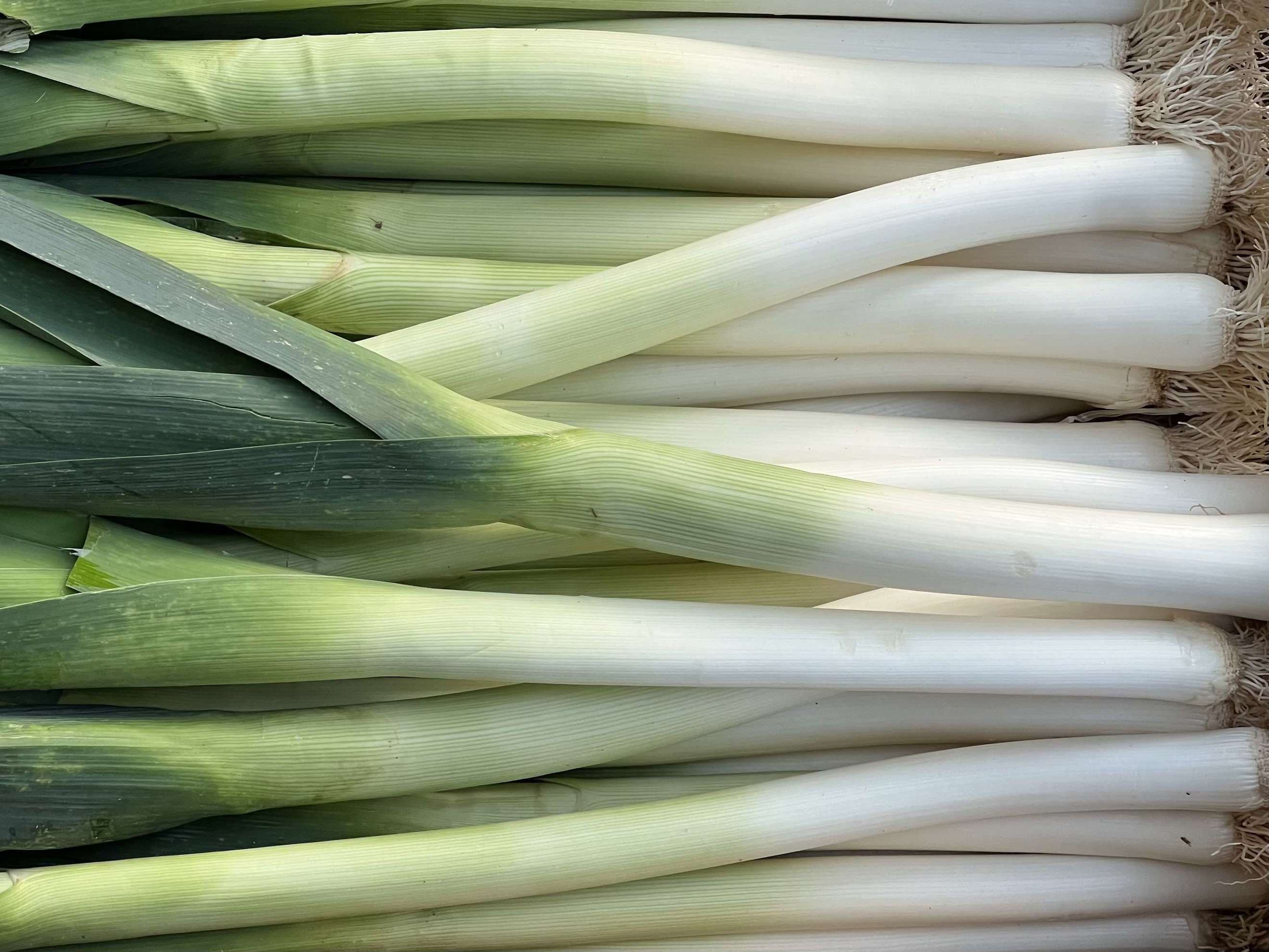 Organic Leeks (500g)