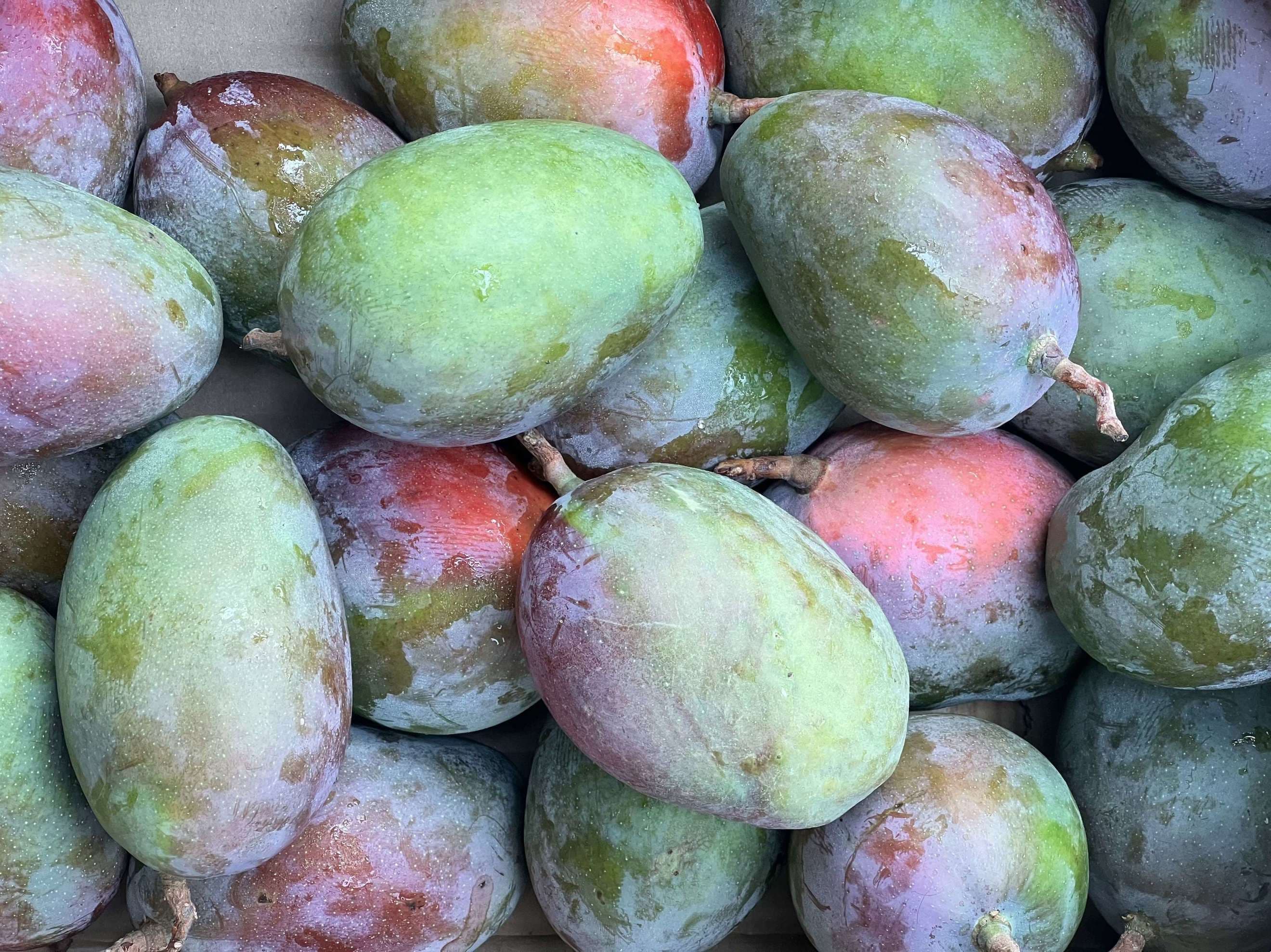 Organic Mango (600g)