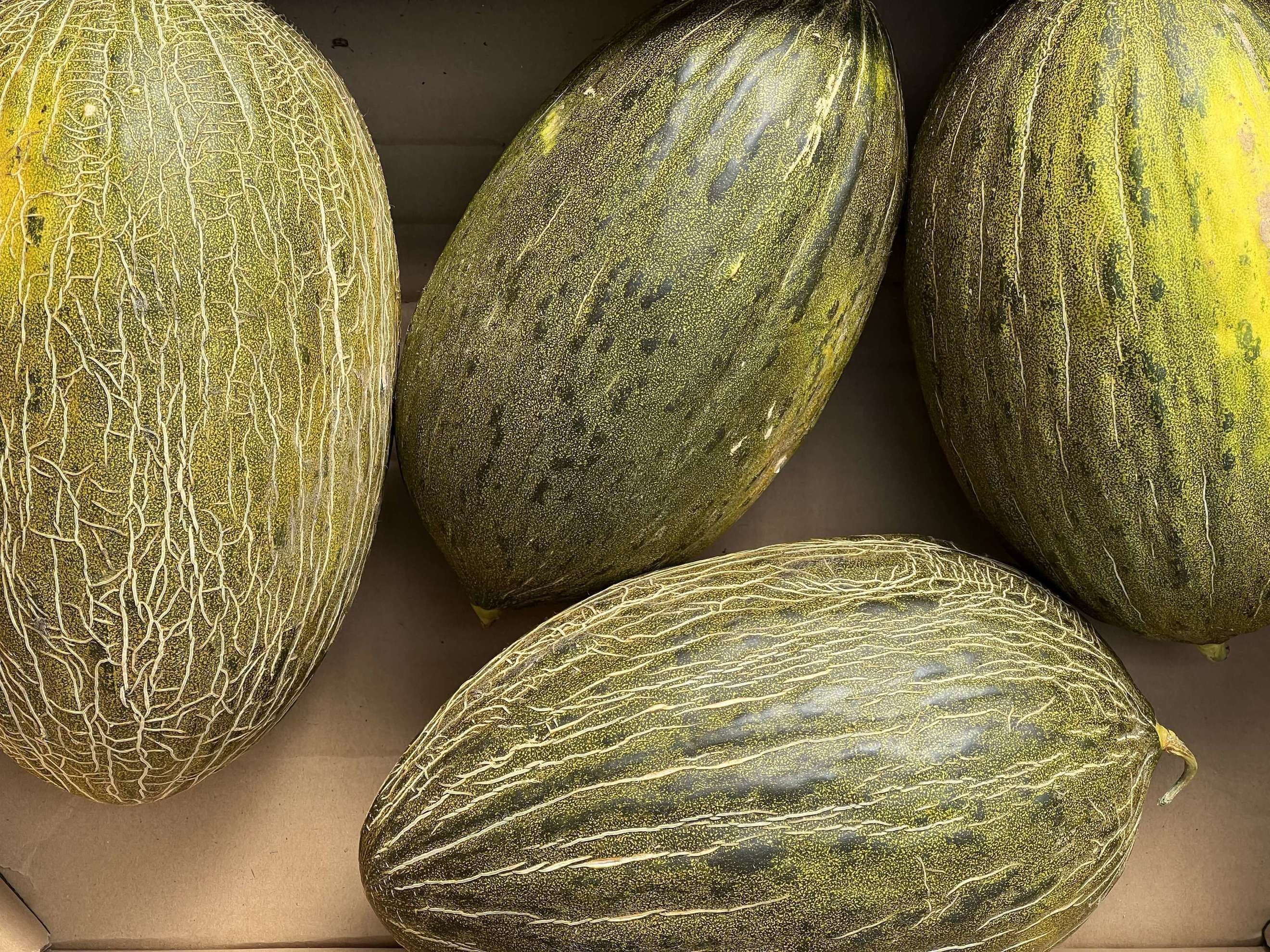 Melon Piel de Sapo (Special Offer!)